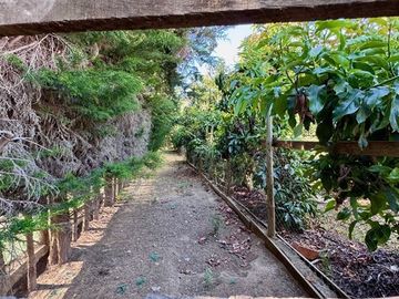Parcela,8dorm7baños,estar,piscina,frutales,7estacionamientos