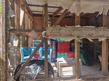 Parcela,8dorm7baños,estar,piscina,frutales,7estacionamientos
