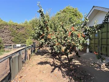 Parcela,8dorm7baños,estar,piscina,frutales,7estacionamientos