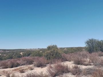 Se vende rancho de 1,070,000 m en el Hongo