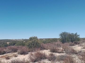 Se vende rancho de 1,070,000 m en el Hongo