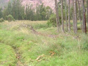 Terrenos Rusticos Venta AV. Pauccarniyoc Grande  - CUSCO