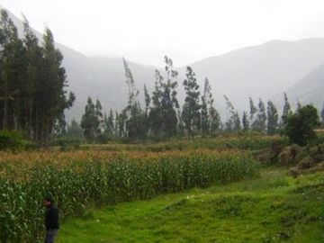 Terrenos Rusticos Venta AV. Pauccarniyoc Grande  - CUSCO