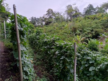 Se Vende Excelente Finca en Alcalá.