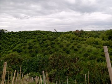 Se Vende Excelente Finca en Alcalá.