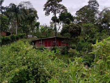 Se Vende Excelente Finca en Alcalá.