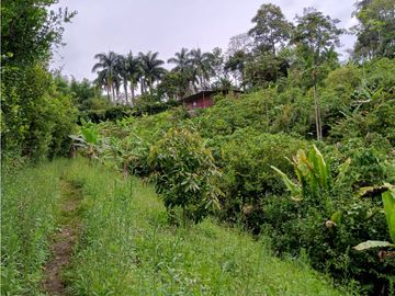 Se Vende Excelente Finca en Alcalá.