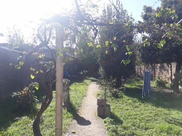 CASA CON LOCAL EN LOTE PROPIO DE 3 AMBIENTES.