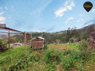Terreno de venta en Santa Ana – código:20863