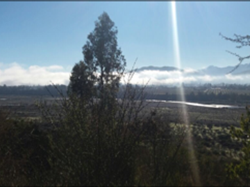 Parcela en Venta en Sector Socavon