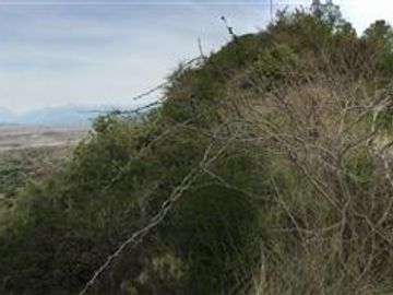 Parcela en Venta en Sector Socavon