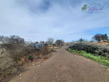 Terreno Construccion  en Venta en Peñaflor
