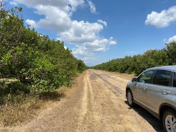 Terreno Carretera Victoria a Matamoros Km 20 (EB/ CTV-029-51446)