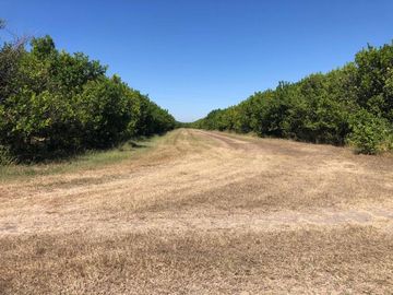 Terreno Carretera Victoria a Matamoros Km 20 (EB/ CTV-029-51446)