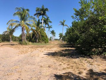Terreno Carretera Victoria a Matamoros Km 20 (EB/ CTV-029-51446)