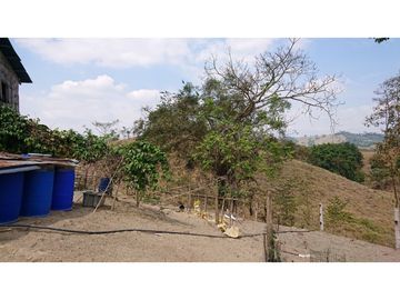 Se Vende Finca 180 Cuadras Sector La Morena Flavio Alfaro