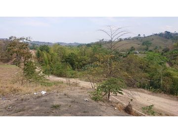 Se Vende Finca 180 Cuadras Sector La Morena Flavio Alfaro