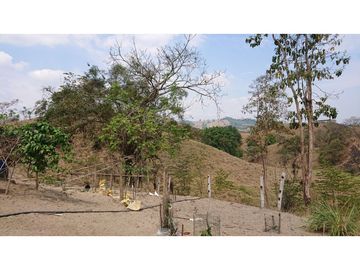 Se Vende Finca 180 Cuadras Sector La Morena Flavio Alfaro