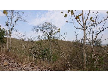 Se Vende Finca 180 Cuadras Sector La Morena Flavio Alfaro