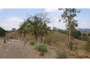 Se Vende Finca 180 Cuadras Sector La Morena Flavio Alfaro