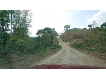 Se Vende Finca 180 Cuadras Sector La Morena Flavio Alfaro