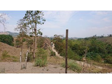 Se Vende Finca 180 Cuadras Sector La Morena Flavio Alfaro