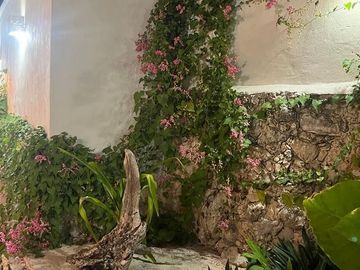 Casa Remodelada| Zona Centro| Vicente Solis Mérida