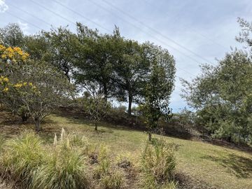casa campestre en arriendo en pradera de potosí. Cod A7431680