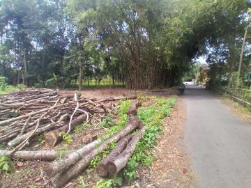 Hunian Mewah Gaya Klasik Modern di Timur Jogja