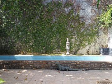 Rumah Mewah Bagus Siap Huni di Kupang Indah Surabaya