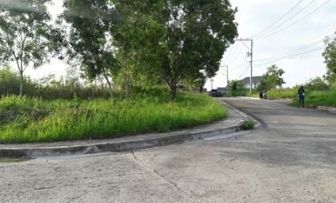 Affordable 150 Sqm Lot for sale in Bulacao, Talisay Cebu
