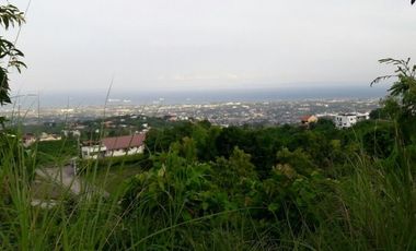 Affordable 150 Sqm Lot for sale in Bulacao, Talisay Cebu