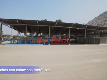 ¡Oportunidad única para desarrollar tu negocio!

Planta industrial/comercial de 86,564.65 m2 en Chacrasana - Chosica, Lurigancho
¿Buscas un espacio