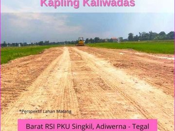 SHM Per Unit: Tanah Kaliwadas, Adiwerna Tegal