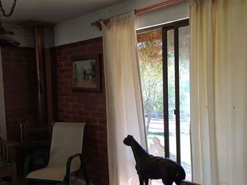 Agrícola en Venta en Lagunillas