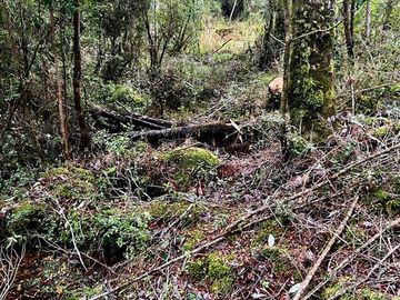 Parcelas Pargua a Minutos de canal de Chacao y nuevo puente