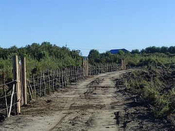AP353 35 millones Rio Huicha Ancud. Acceso garantizado a Rio