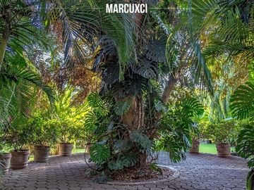 Case en venta en Mazatepec Morelos