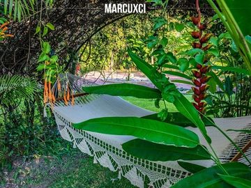 Case en venta en Mazatepec Morelos