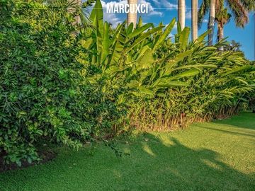 Case en venta en Mazatepec Morelos