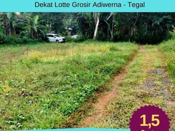 Tanah Tegal, Dekat Lotte Grosir Singkil, Adiwerna: Sertifikat SHM Bukan AJB