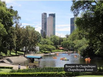Condominio con terraza de 24 m2 vista al bosque de Chapultepec, cuarto de servic