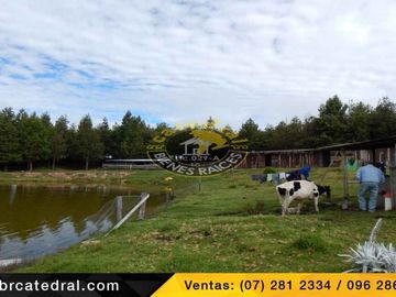 Quinta Hacienda de venta en La Jarata - Vía a Loja – código:11763