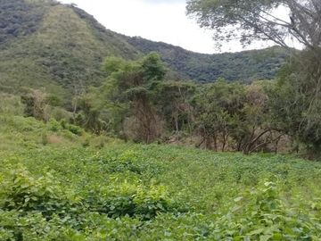 Rancho apto para Ganadería,  Granjas y Siembra, en Villa Corzo Chiapas