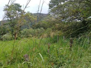 Rancho apto para Ganadería,  Granjas y Siembra, en Villa Corzo Chiapas