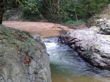 Rancho apto para Ganadería,  Granjas y Siembra, en Villa Corzo Chiapas