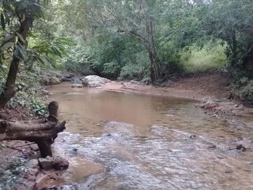 Rancho apto para Ganadería,  Granjas y Siembra, en Villa Corzo Chiapas
