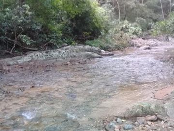 Rancho apto para Ganadería,  Granjas y Siembra, en Villa Corzo Chiapas