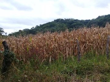 Rancho apto para Ganadería,  Granjas y Siembra, en Villa Corzo Chiapas