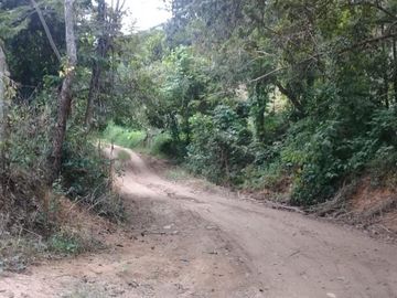 Rancho apto para Ganadería,  Granjas y Siembra, en Villa Corzo Chiapas